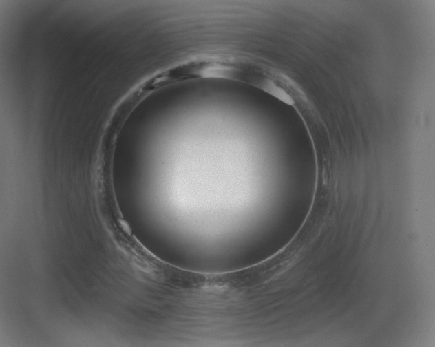 X0000083530388200702091012