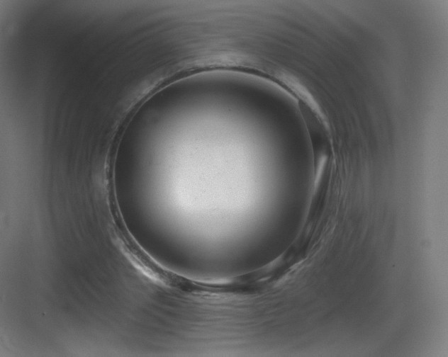 X0000083530389200702091012