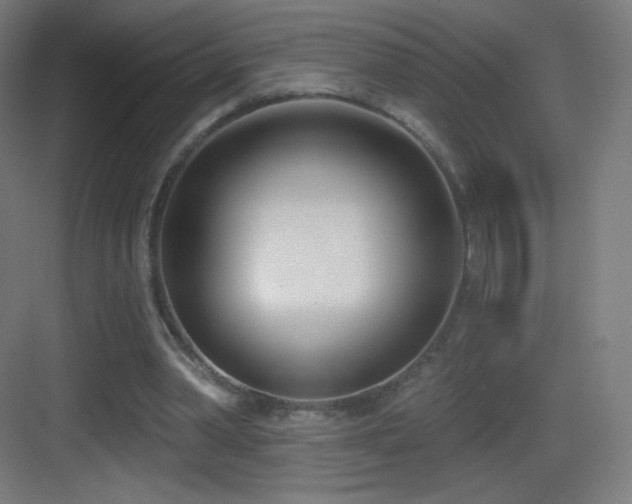 X0000083530390200702091012