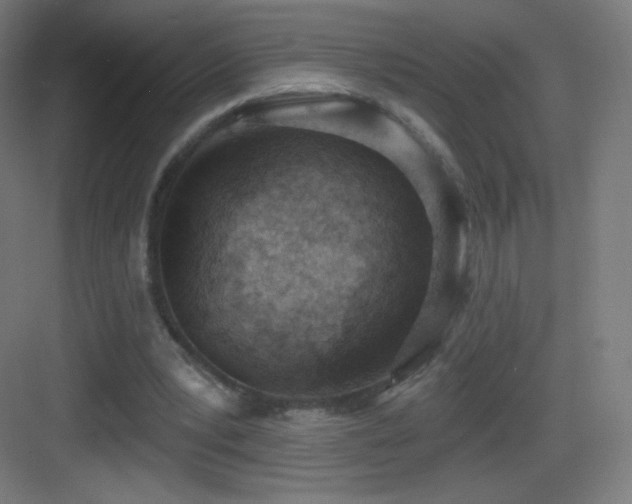 X0000083530391200702091012