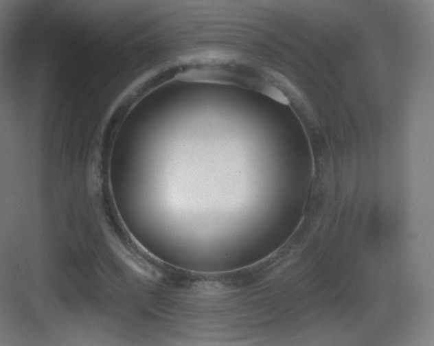 X0000083530392200702091012