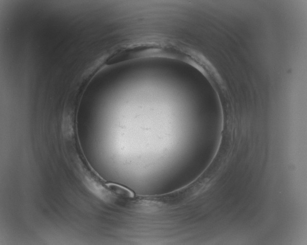 X0000083530393200702091012