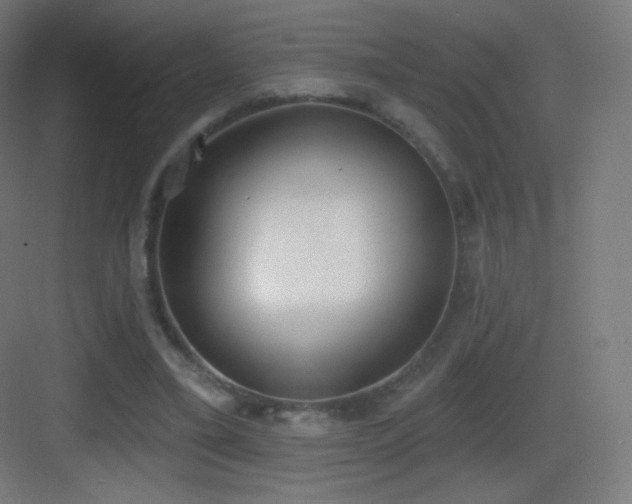 X0000083530395200702091012