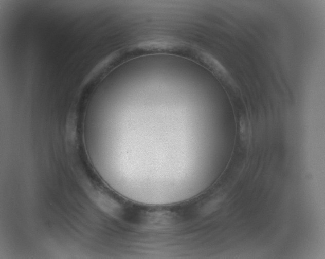 X0000083530396200702091012