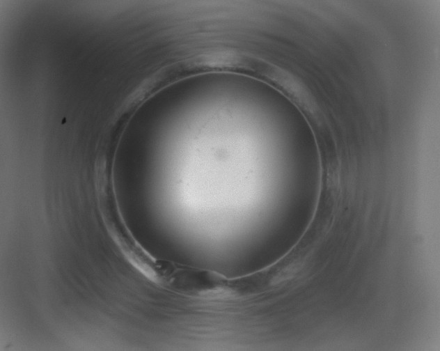 X0000083530397200702091012