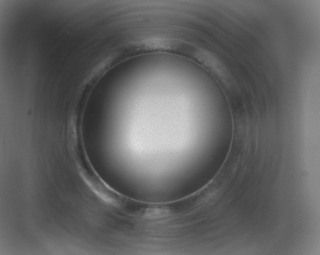 X0000083530398200702091012