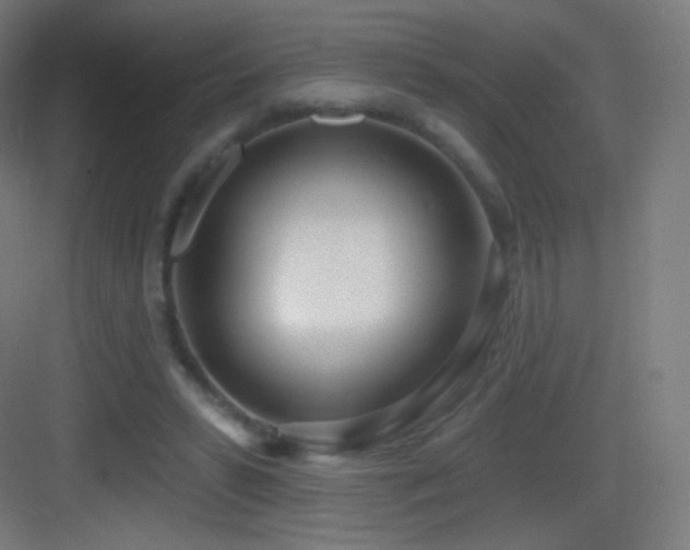 X0000083530399200702091012