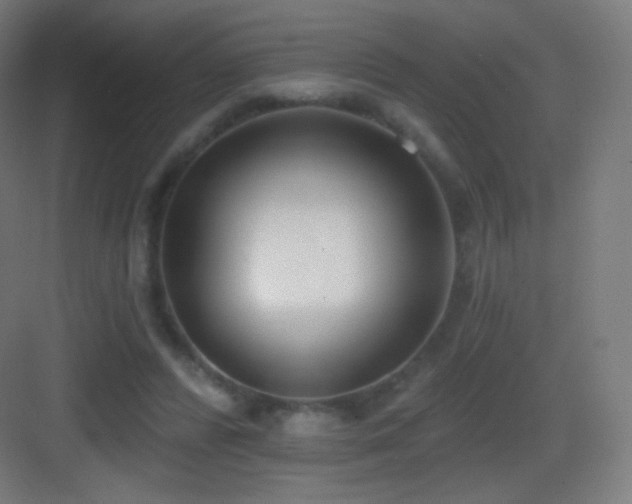 X0000083530400200702091012