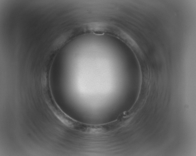 X0000083530401200702091012