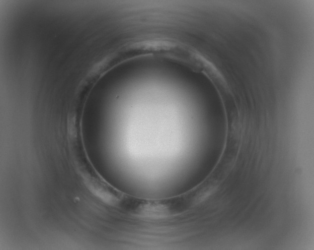 X0000083530403200702091011