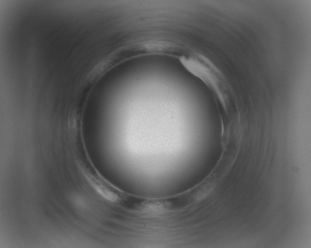 X0000083530405200702091011