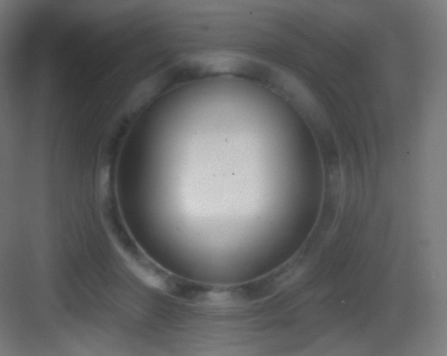 X0000083530406200702091011