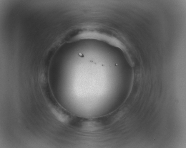 X0000083530408200702091011