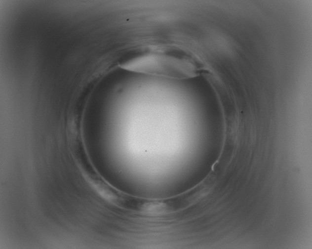 X0000083530410200702091011