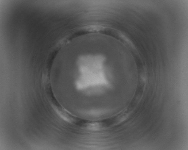 X0000083530411200702091011