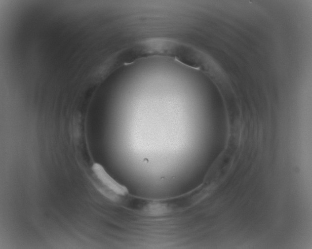 X0000083530413200702091011