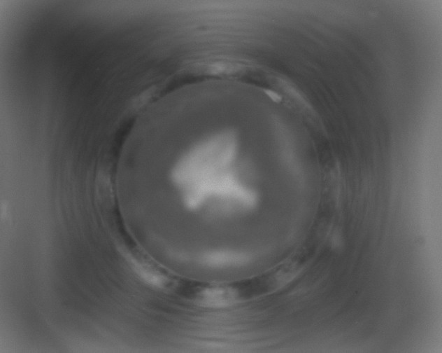 X0000083530415200702091011