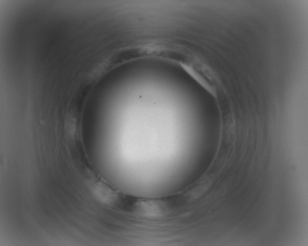 X0000083530417200702091011