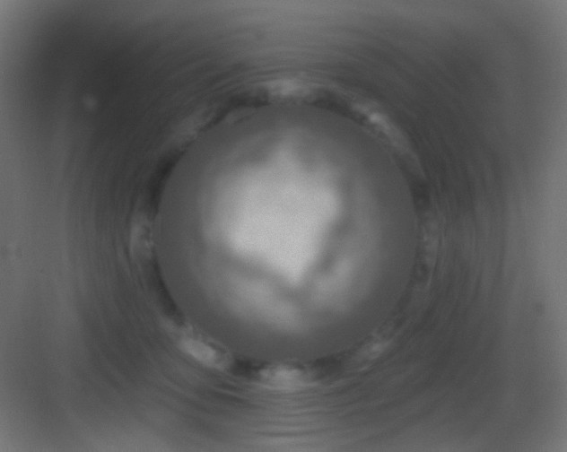 X0000083530419200702091011