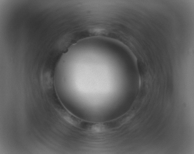 X0000083530420200702091011