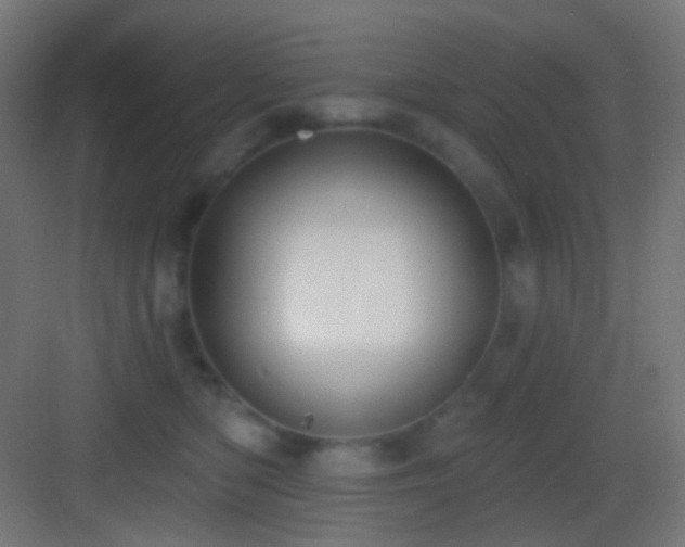 X0000083530422200702091011