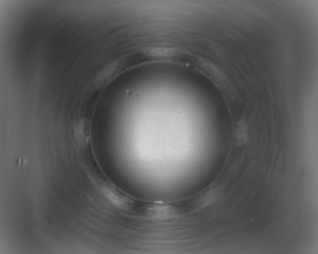 X0000083530428200702091011