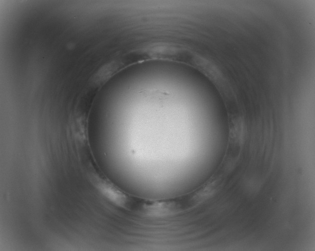 X0000083530430200702091011