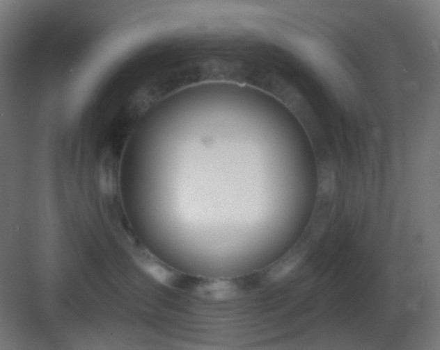 X0000083530431200702091011