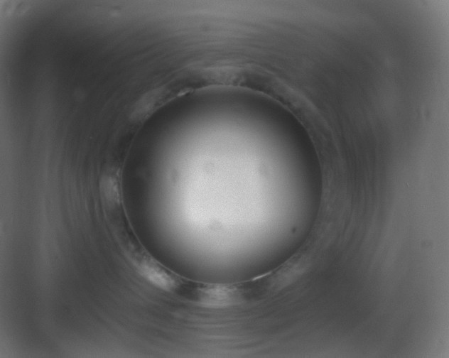 X0000083530432200702091011