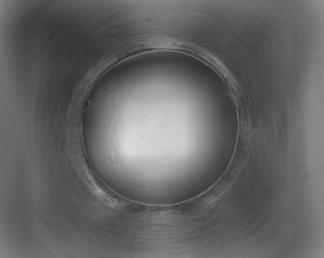 X0000083530433200702091010