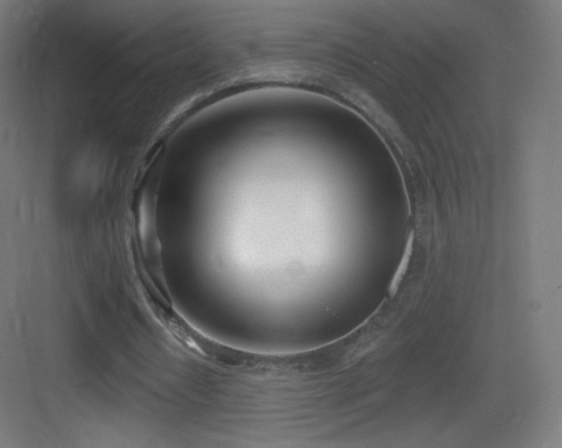 X0000083530434200702091010