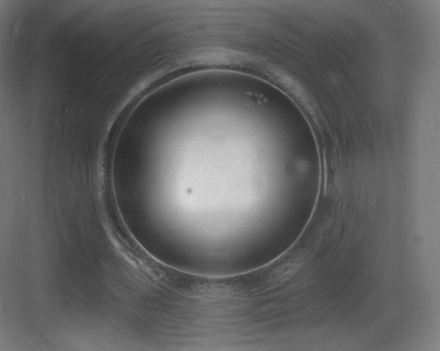 X0000083530435200702091010