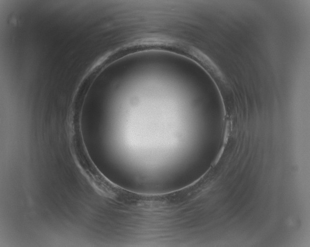 X0000083530436200702091010