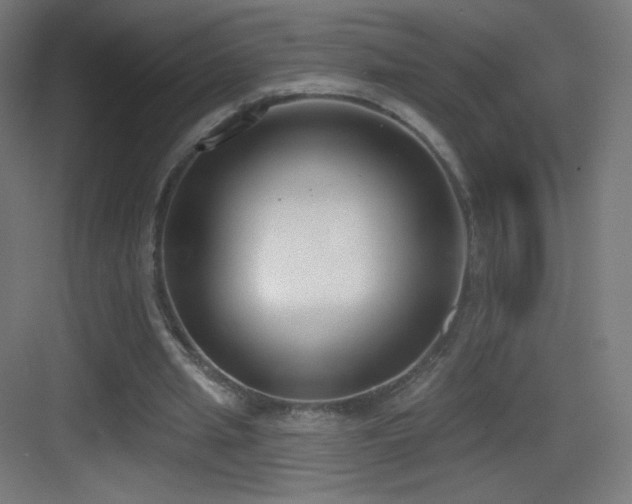 X0000083530437200702091010