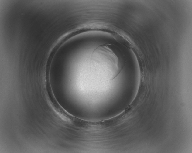 X0000083530438200702091010