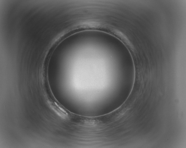 X0000083530439200702091010