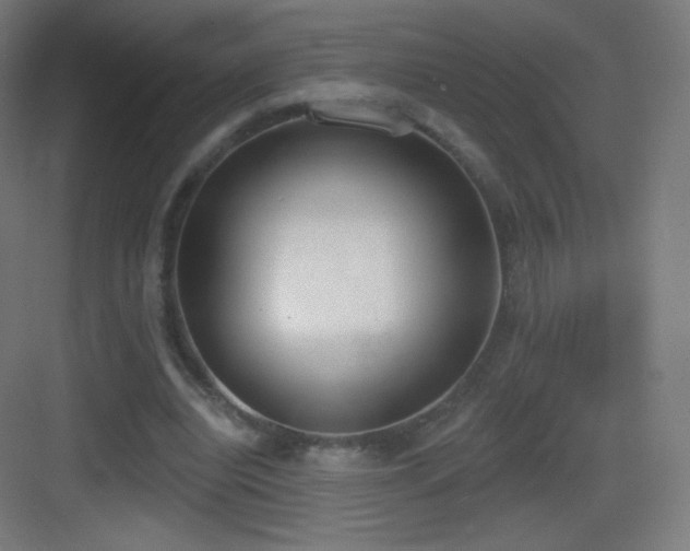 X0000083530440200702091010