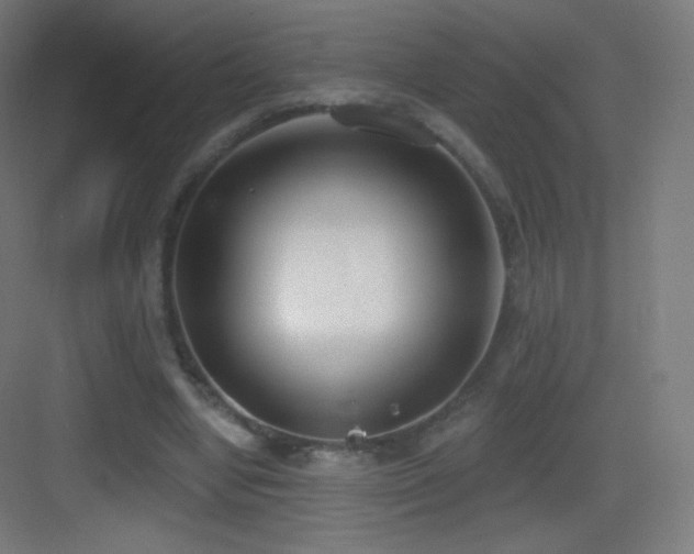 X0000083530442200702091010