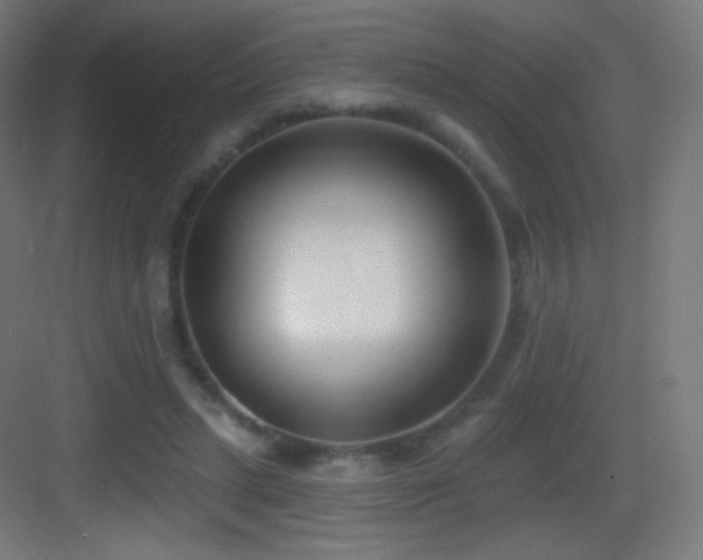 X0000083530447200702091010