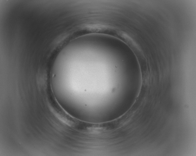 X0000083530448200702091010