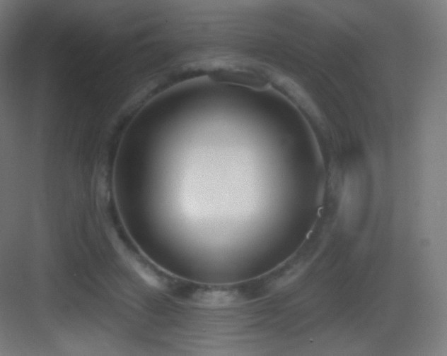 X0000083530449200702091010