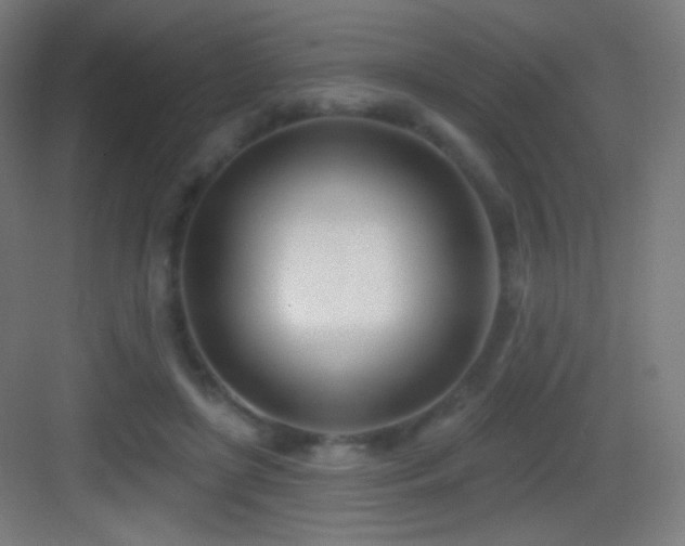 X0000083530451200702091010