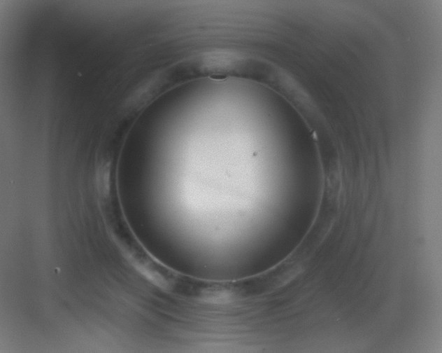 X0000083530454200702091011