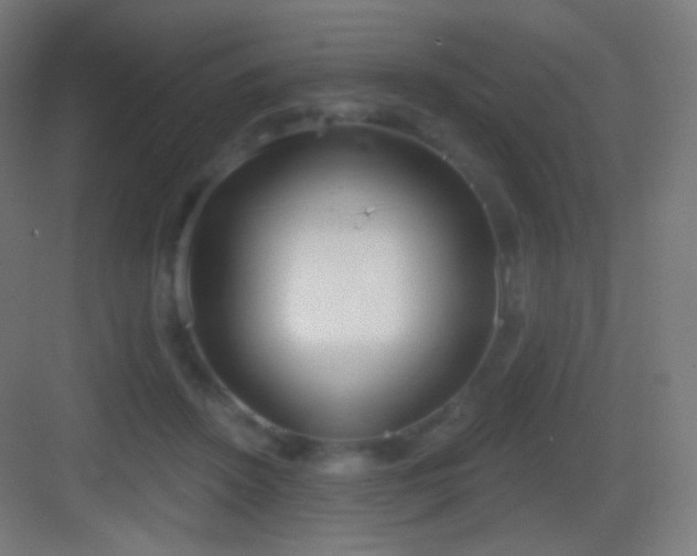 X0000083530456200702091011