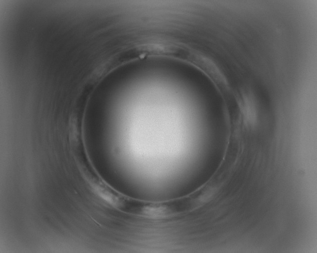 X0000083530457200702091011