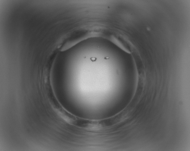 X0000083530458200702091011