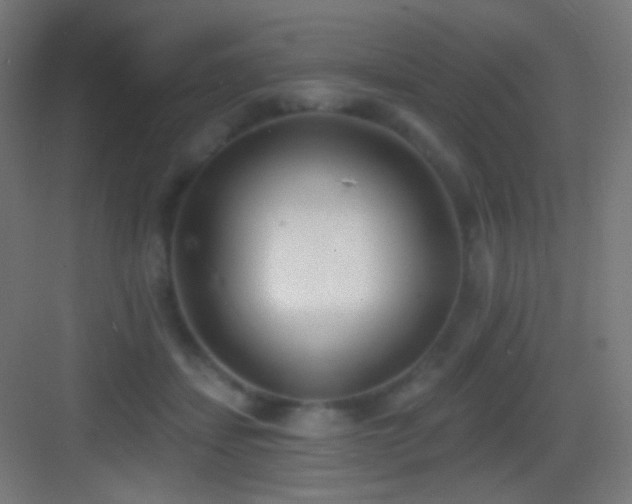 X0000083530459200702091011