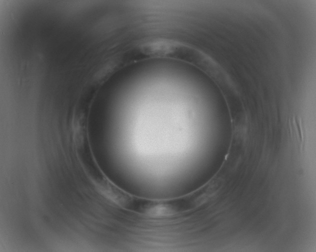 X0000083530460200702091011