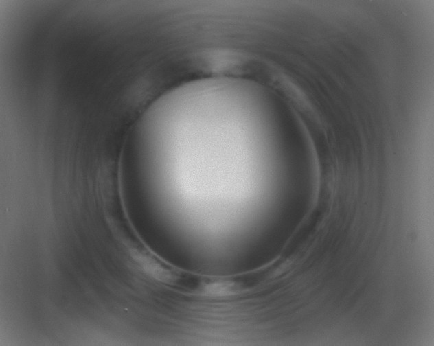 X0000083530461200702091011