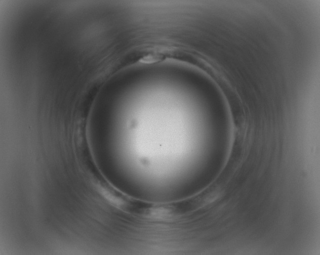 X0000083530462200702091011